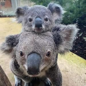 Meet your Posher, Rita